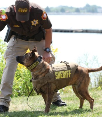 Sheriff K9